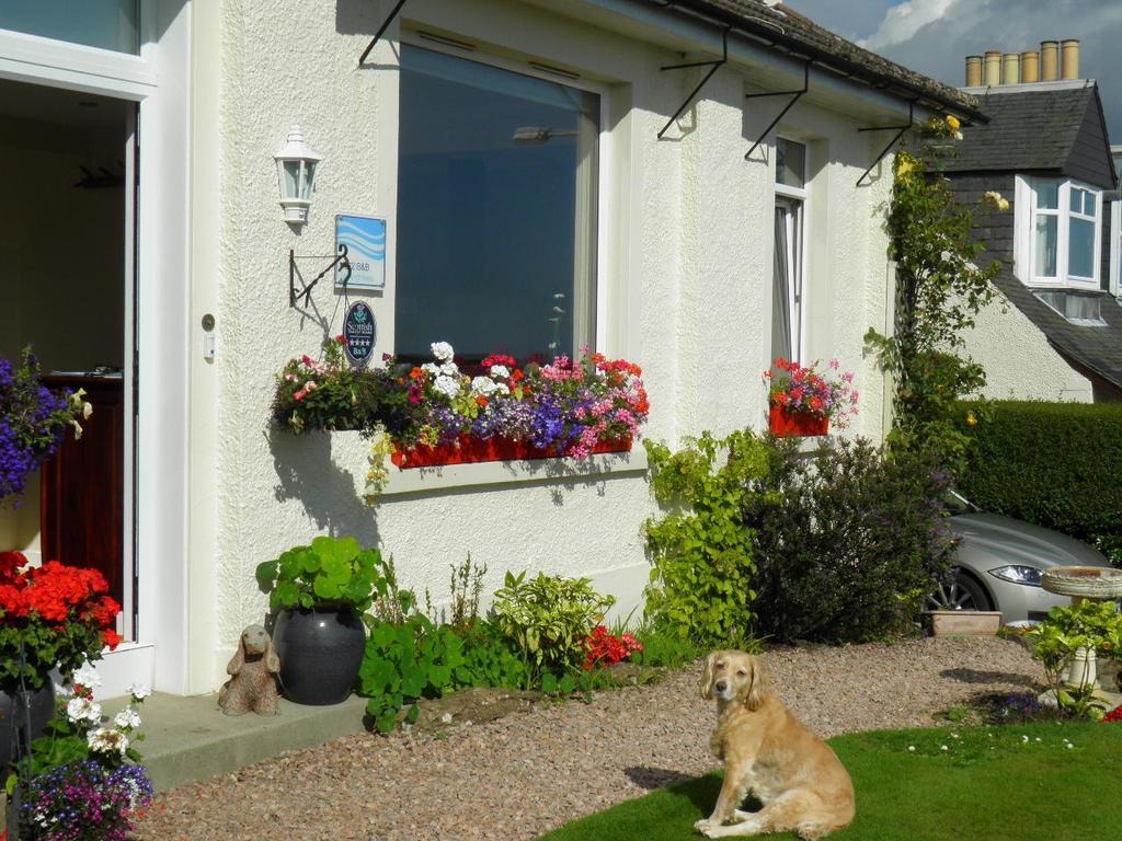 No12 Bed And Breakfast, St Andrews Luaran gambar